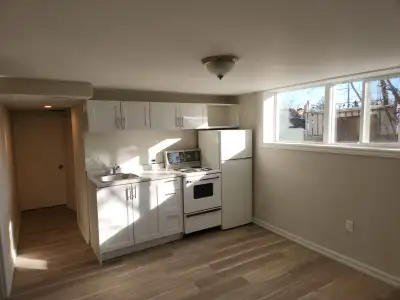 Newly renovated one bedroom plus one living room combined with kitchen basement apartment in Richmon...