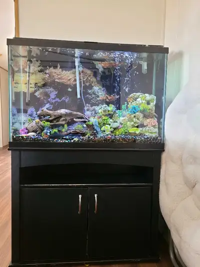 aquarium with stand, View more