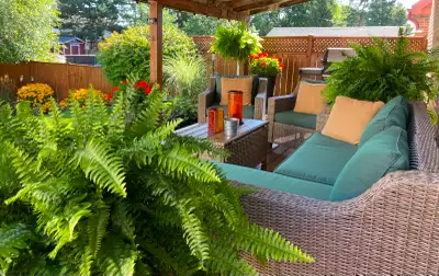 - This rental is for ONE person only (no couples) This is a great home for those that are wanting to...