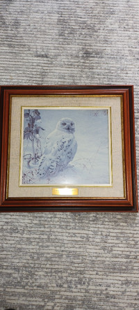 Robert Bateman Snowy Owl and Milk Weed