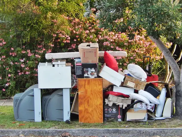 Ramassage De Debris / Junk Removal62865709324035123