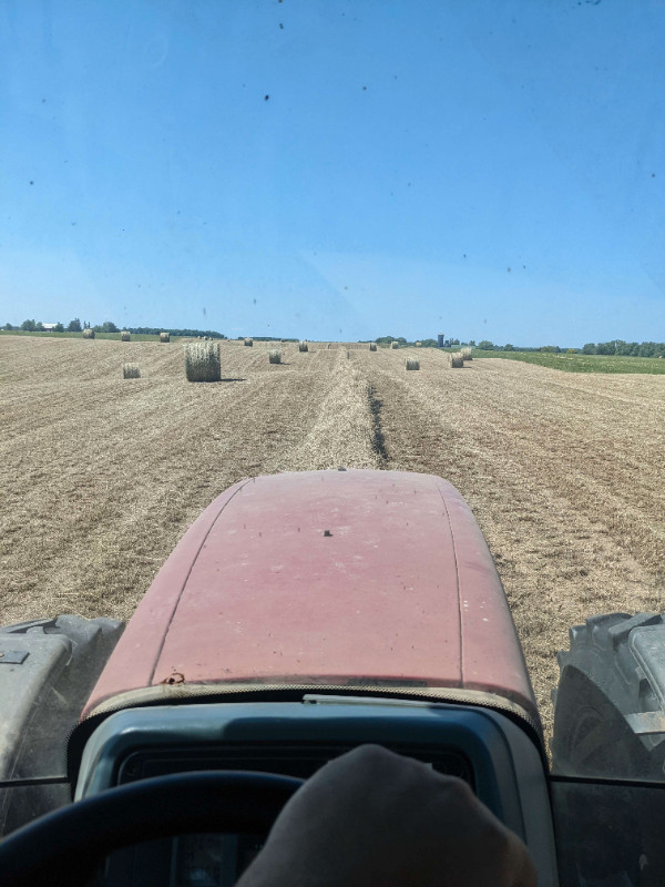 Dry First Cut Hay, 4x5 Round Bales in Livestock in Hamilton - Image 2