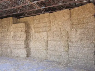 Wheat Straw for sale, View more