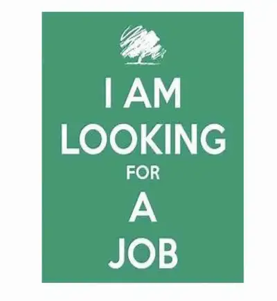 Looking for a job, View more