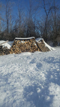 Firewood available in Yorkton