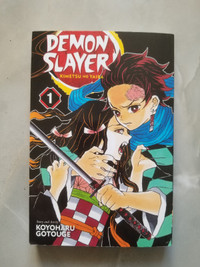 Demon Slayer: Kimetsu no Yaiba Volume 1  Manga Book (English)