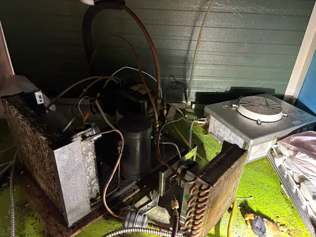 commercial cooler repair 647-388-8801