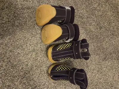 Booties for a small dog. Located south side