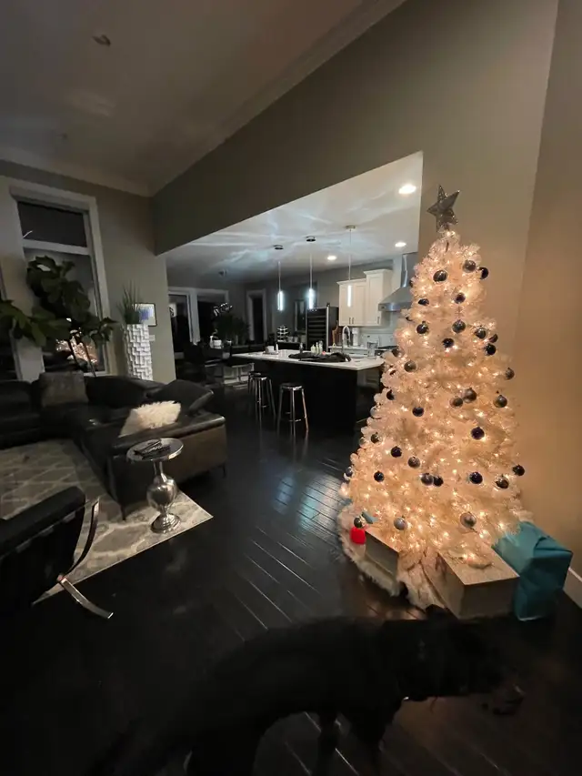 Christmas decor  in Home Décor & Accents in St. Albert - Image 11