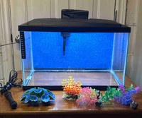 Complete 10 gallons aquarium