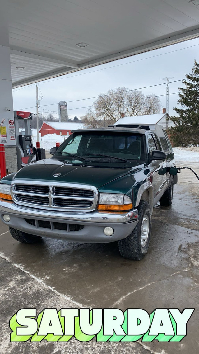 1999 Dodge Dakota 4x4 v8 in Cars & Trucks in Kingston - Image 2