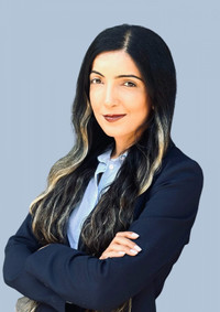 Business and Real Estate Lawyer