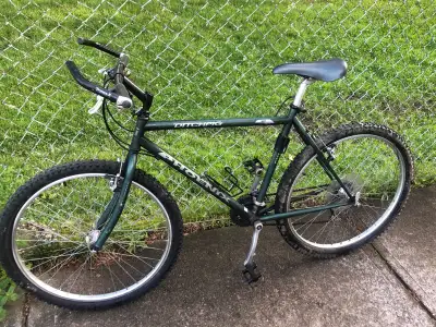 Vintage 1980’s Phoenix Ditchpig mountain bike, View more