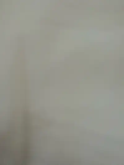 looking for work strong and motivated , View more