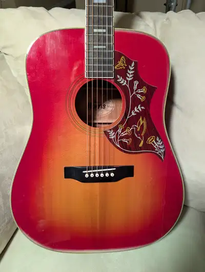 Morris Hummingbird acoustic guitar, View more