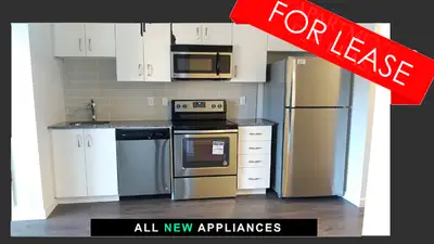 1 Bedroom Apartment | Professional | Student | Near Uni.