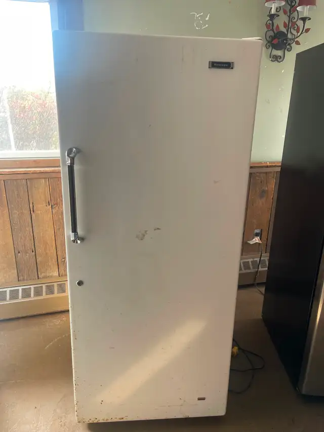 Freezer fridge605488233495941121