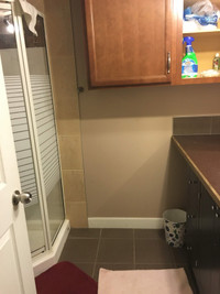 Basement room for male close to SAIT 