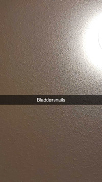 Bladder snails or sell or trade