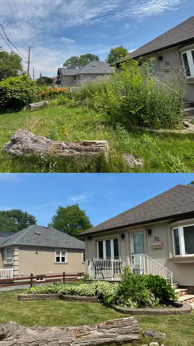 Summer Yard Maintenance 