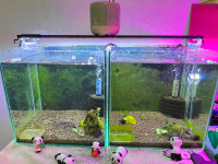 Aquarium Fish Tank (Please Read Description)
