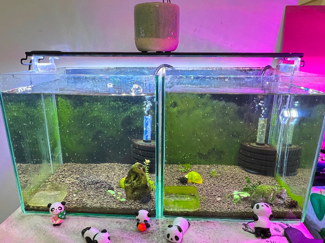 Aquarium Fish Tank (Please Read Description) in Other in Vancouver