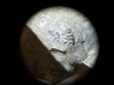 FLEXICALYMENE TRILOBITE OF SOUTHERN ONTARIO, View more