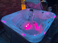 pinacle spa hot tub great condition
