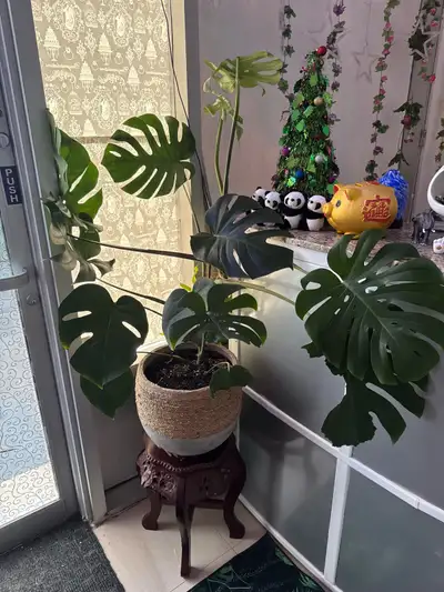 Great massage for you, View more