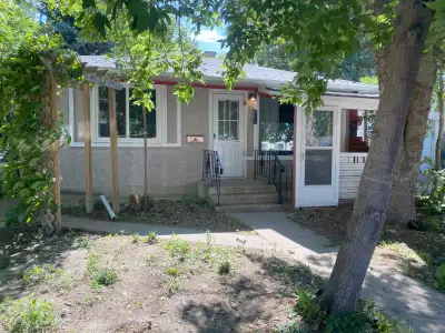 Pet friendly 2 bed room, main floor own laundry fenced yard