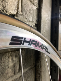 Campagnolo Shamal Front Wheel