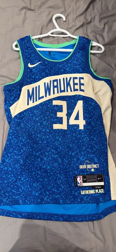 Nike Antetokounmpo Jersey, View more
