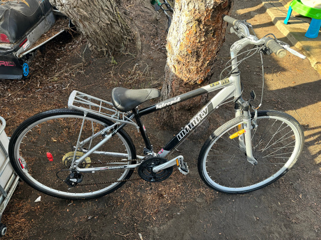 Infinity Bikes  in Cruiser, Commuter & Hybrid in Saskatoon - Image 3