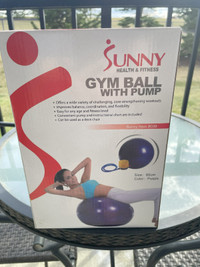 NEW Sunny Exercise Ball Purple 65cm With Pump