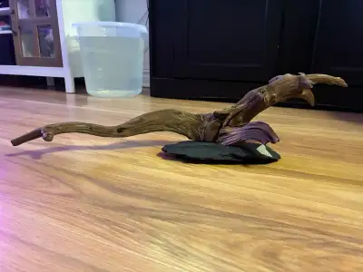 Décoration pour aquarium ou vivarium, View more