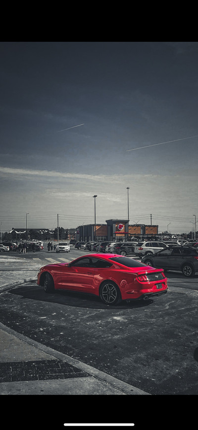 Ford Mustang Ecoboost Premium 2019