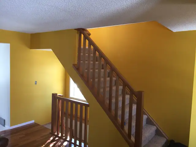  HANDYMAN SERVICES 62863237109891121