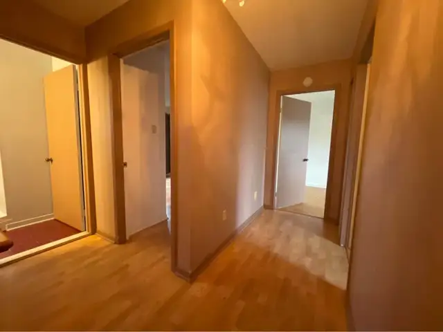 2 rooms for rent / immediately62863776232834121