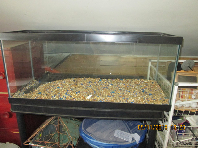 Salt water tanks and chaetomorpha for sale in Fish for Rehoming in Leamington - Image 3