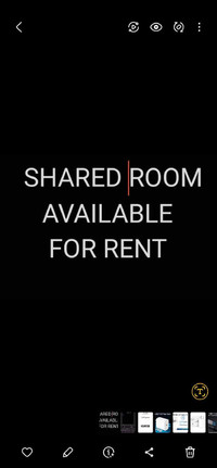 Shared Room For Rent