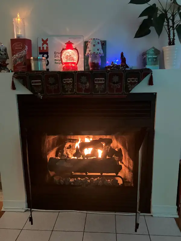 Insert Set for Fireplace Gel Fuel Concrete Fire Log in Fireplace & Firewood in City of Montréal - Image 3