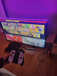 Nintendo switch lite 