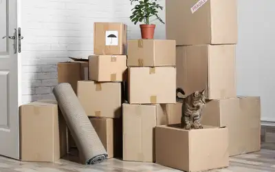 Looking to hire a few people to load my furniture from my house in East Riverview into a U-Haul truc...