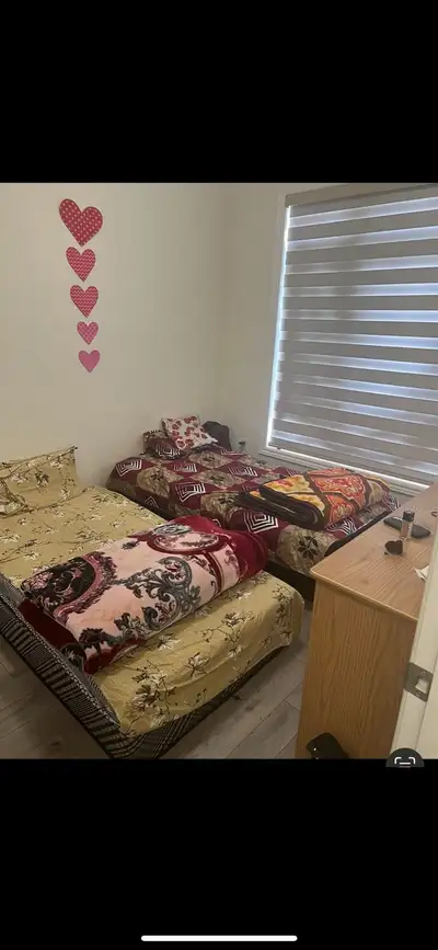 Room available for only girls