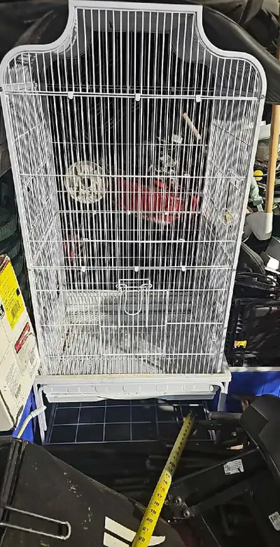  bird Conure and Indian with cage for sale , View more