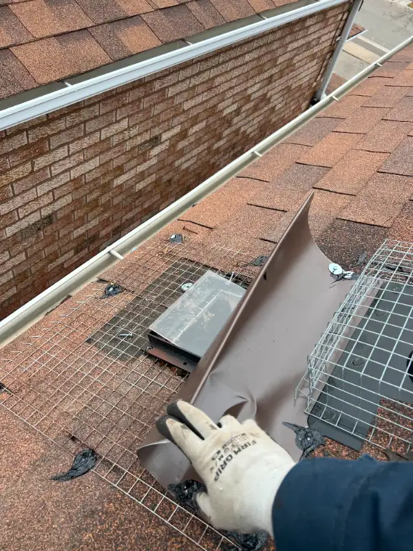 Affordable Raccoon Removal Cost Brampton63654773258881124