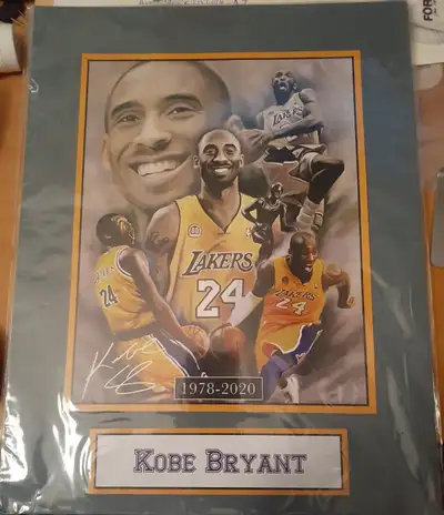 In a protected wrapper, new unopened. 8 x 10 picture. 11 x 14 total size. 2 to choose from. $30 each