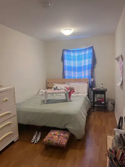 Looking for a roommate:) Move into my North End two bedroom with me and Frog for March 1st! (Lease u...