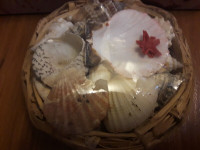 Small Sea Shells Basket new , still wrapped $5The box is for si