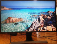 Affordable LCD/LED monitors